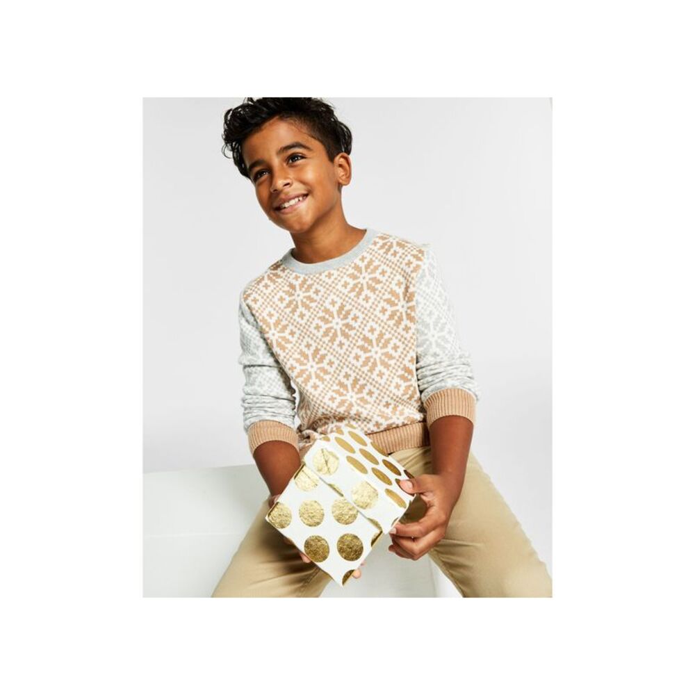Charter Club Big Boys Fair Isle Family Sweater